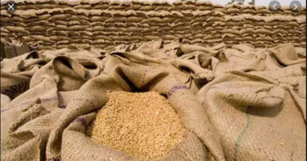 ৫০০০০ টন গম কেনার আন্তর্জাতিক টেন্ডার ছেড়েছে সরকার