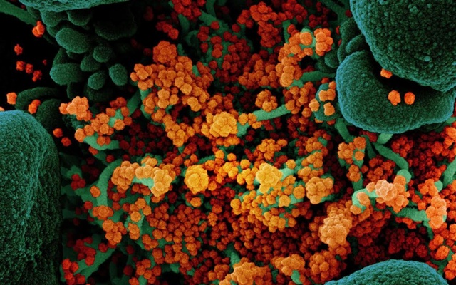 নতুন বৈশিষ্ট্যের করোনাভাইরাস নিয়ে উদ্বেগে যুক্তরাজ্য