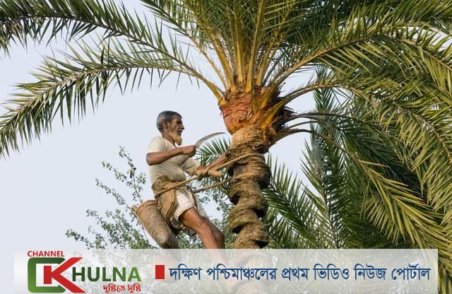 চুরি-হাঁড়ি ভাঙায় পেশা ছাড়ছেন গাছিরা, দোষ নগরায়নের আগ্রাসনেও!