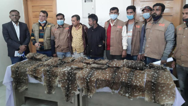 শরণখোলায় ১৯টি হরিণের চামড়াসহ গ্রেফতার ২