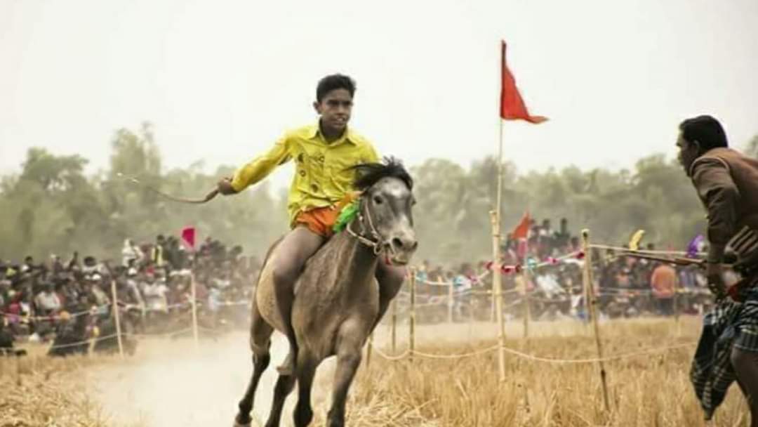 মাগুরার মহম্মদপুরে ঐতিহ্যবাহি ঘোড়দৌড় ও মেলা অনুষ্ঠিত