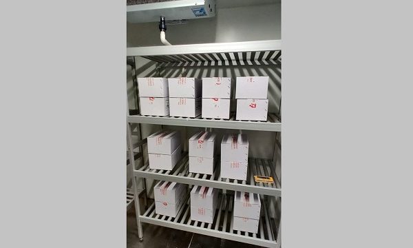 সাতক্ষীরায় ৬০ হাজার ডোজ করোনা ভ্যাক্সিন পৌঁছেছে