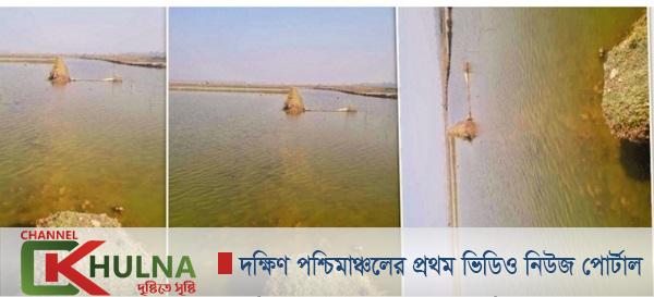 পাইকগাছায় মৎস্য লীজ ঘেরের বাঁধ কেটে দখল:কয়েক লক্ষ টাকার ক্ষতি সাধন