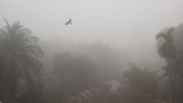 তীব্র শৈত্যপ্রবাহের কবলে দেশ, তাপমাত্রা আরও হ্রাস পেতে পারে