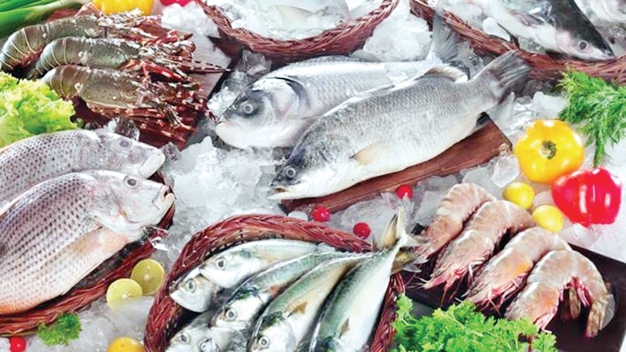 যেসব চর্বিযুক্ত খাবার খেলেও বাড়বে না ওজন