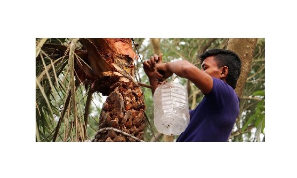 খেজুর রস সংগ্রহে প্লাস্টিক যুগের অশনি সংকেত!