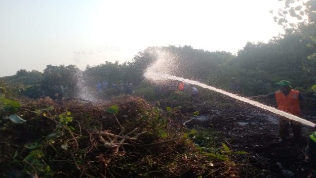 সুন্দরবনে আগুনের কারণ জানতে ৩ সদস্যর তদন্ত কমিটি