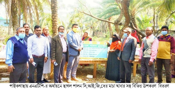 পাইকগাছায় ছাগল পালন সিআইজিদের মাঝে মাচা খাবার সহ বিভিন্ন উপকরণ বিতরণ