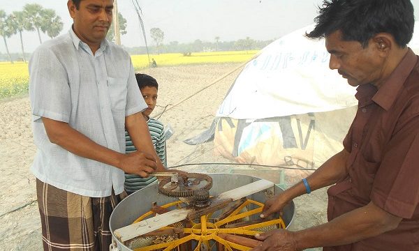 করোনার প্রাদূর্ভাবে মধুর ব্যবসায় মন্দা বিপাকে মৌ-চাষীরা