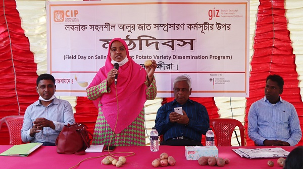 তালায় লবনাক্ত সহনশীল আলুর জাত সম্প্রাসারণ কর্মসূচির উপর কৃষক মাঠ দিবস