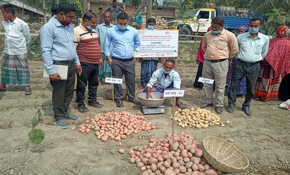 সাতক্ষীরায় লবনাক্ত সহনশীল আলুর জাত সম্প্রাসারণ কর্মসূচির উপর মাঠ দিবস