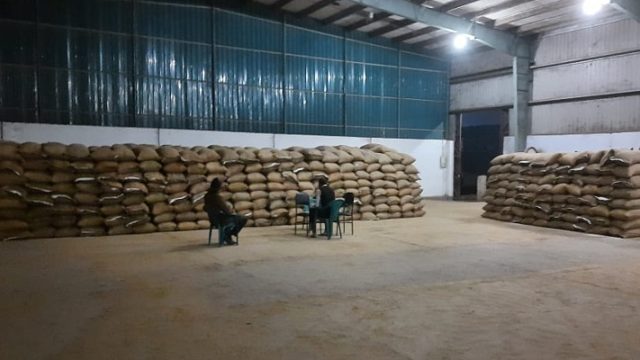 ভোমরা স্থলবন্দর থেকে অননুমোদিত তিন ট্রাক ভারতীয় উচ্চ মূল্যের শ্যামা চাউল জব্দ