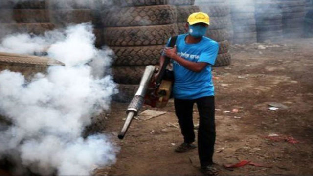 ঢাকায় মশা বেড়েছে চারগুণ, মার্চে চরমে পৌঁছাবে