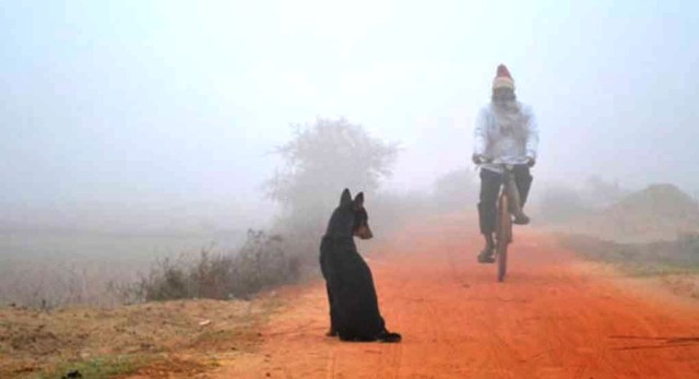 আর এক সপ্তাহ পরেই বিদায় নিচ্ছে শীত