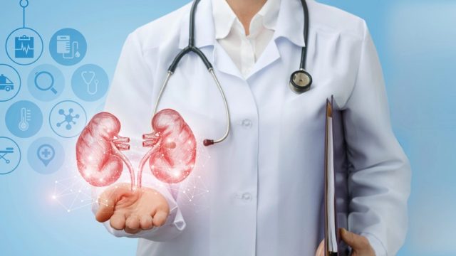 কিডনি রোগ কেন হয়? প্রতিকার জেনে নিন