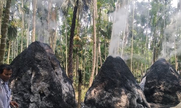 মোরেলগঞ্জে আওয়ামীলীগ নেতার ৩টি খড়ের গাদা ও গোয়ালঘরে অগ্নিসংযোগ
