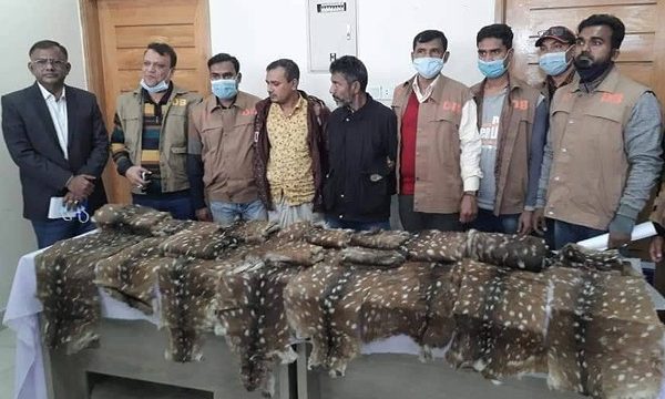 বনকর্তা ও শিকারী চক্রের যোগসাজশে বাড়ছে সুন্দরবনের বন্যপ্রানী নিধন