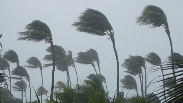 ঝড়ের সম্ভাবনায় নদীতে ১ নম্বর সতর্ক সংকেত