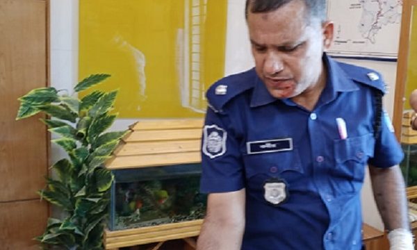 মোল্লাহাটে হেফাজত কর্মীদের হামলায় থানার ওসিসহ ৭ পুলিশ সদস্য আহত