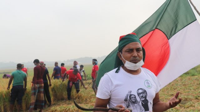 মাগুরায় কৃষকের ২ বিঘা জমির ধান কেটে দিল যুবলীগ