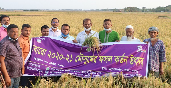 কয়রায় বোরো ধান কর্তন উৎসব