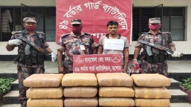 বেনাপোল সীমান্তে বিজিবির অভিযানে ৮৮ কেজি গাঁজাসহ আটক ১