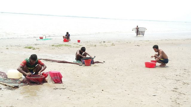 রামপালের ফয়লাহাটে কোটি টাকার চাঁদাবাজি চিংড়ি পোনা ব‍্যবসাকে কেন্দ্র করে