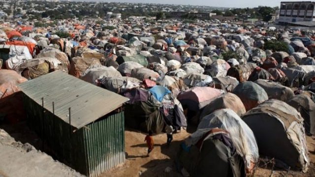 জাতিসংঘের যাকাত তহবিলে রেকর্ড সংগ্রহ