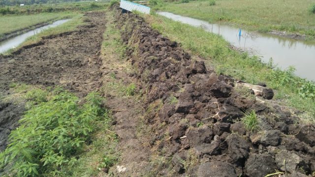 মোল্লাহাটে মালিক পক্ষের বিরুদ্ধে ঘের লিজ গ্রহীতার অভিযোগ !