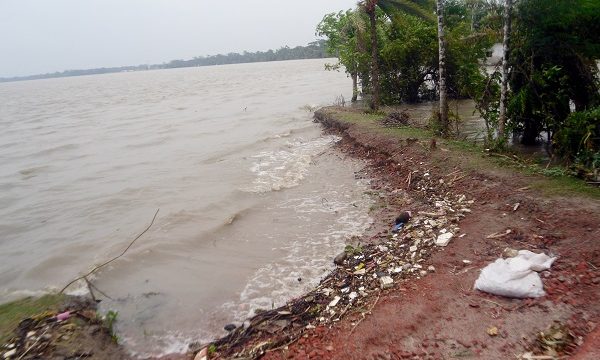 মোরেলগঞ্জে ইয়াস ও পূর্ণিমার জোয়ারে নিম্নাঞ্চল প্লাবিত,ফসলি জমির ব্যাপক ক্ষতি