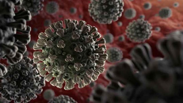 খুমেক ল্যাবে ১১৪ জনের করোনা শনাক্ত