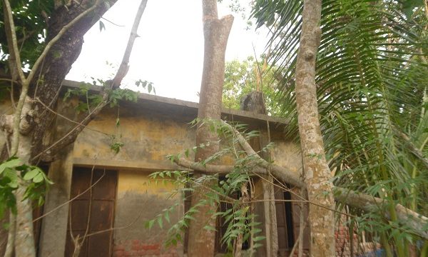 মোরেলগঞ্জে প্রশাসনের নির্দেশনা উপেক্ষা করে কর্তনকৃত গাছের ডাল আত্মসাৎ