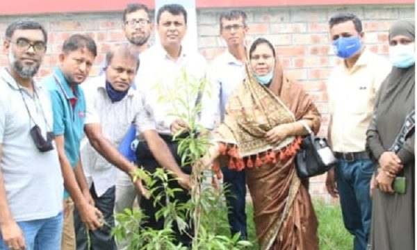 খুলনায় সেভ দ্যা ফিউচার ফাউন্ডেশন বৃক্ষরোপণ