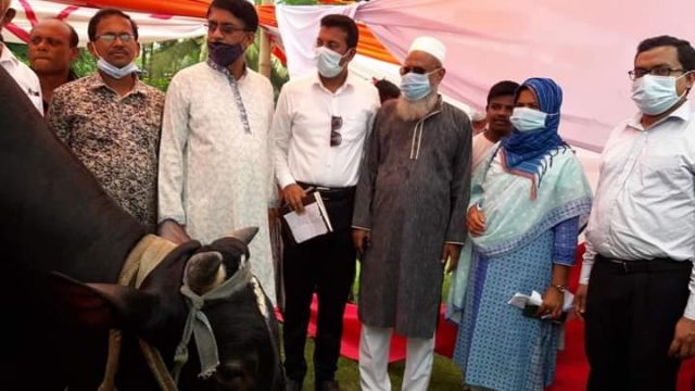 কাউখালীতে দিন ব্যাপী প্রাণী সম্পদ প্রদর্শনী মেলা