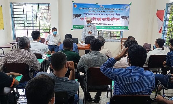 মোরেলগঞ্জে তিনদিন ব্যাপী দুগ্ধ খামারীদের প্রশিক্ষণ
