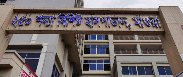 মাগুরায় ট্রাক চাপায় নিহত ১