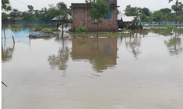 কয়রায় ৩ দিনের টানা বৃষ্টিতে ভেসে গেছে মাছের ঘেরসহ ক্ষেতের ফসল
