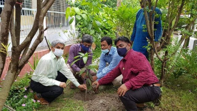 বঙ্গবাসী মাধ্যমিক বিদ্যালয়ে বৃক্ষরোপনে যশোর শিক্ষা বোর্ডের চেয়ারম্যান
