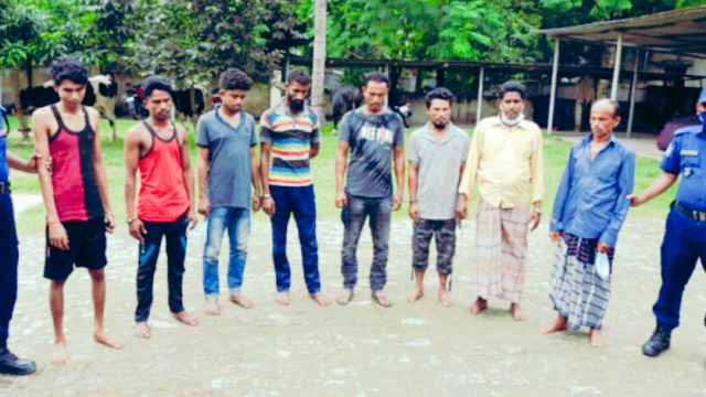 মাগুরায় চুরি হওয়া গরু সহ ৮ চোর আটক