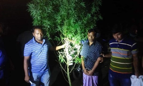 ডুমুরিয়ায় গাছ‌ ও ৩শগ্রামগাজা সহ আটক ৩