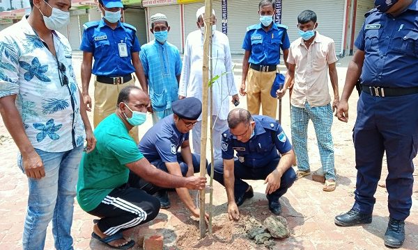 মোল্লাহাটে বিট পুলিশিং এর উদ্যোগে বৃক্ষ রোপণ