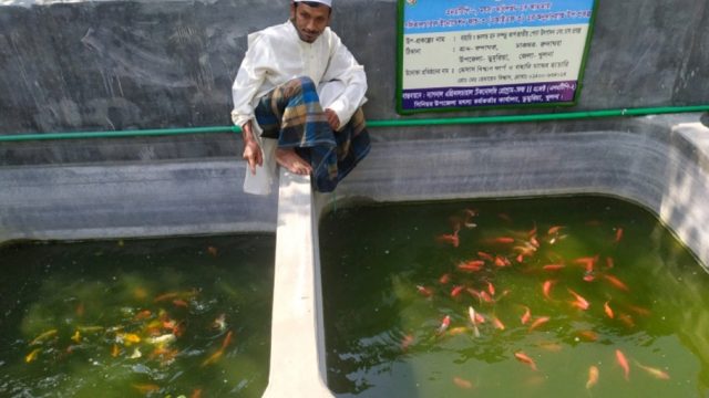 ডুমুরিয়ায় একুরিয়ামে মাছ পালনের মাধ্যমে স্বাবলম্বী হেমায়েত বিশ্বাস