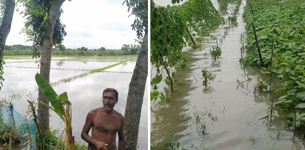 খুলনায় ১২ কোটি টাকার ফসল ক্ষতির আশঙ্কা