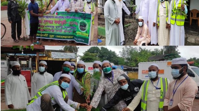 ইসলামী যুব আন্দোলন খুলনা মহানগরের বৃক্ষরোপণ কর্মসূচি পালিত