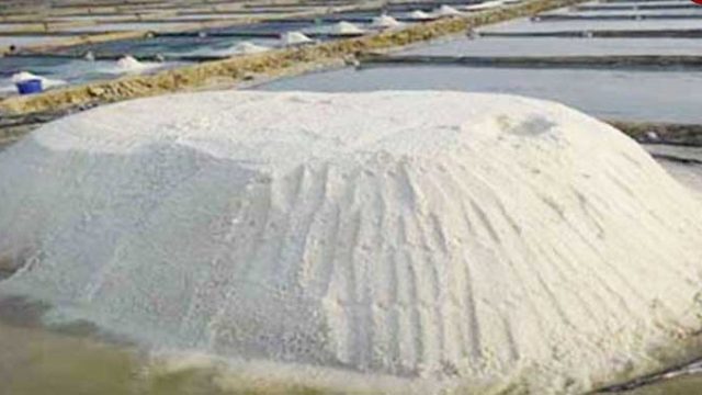 কোরবানির ঈদে লবণের সংকট হবে না
