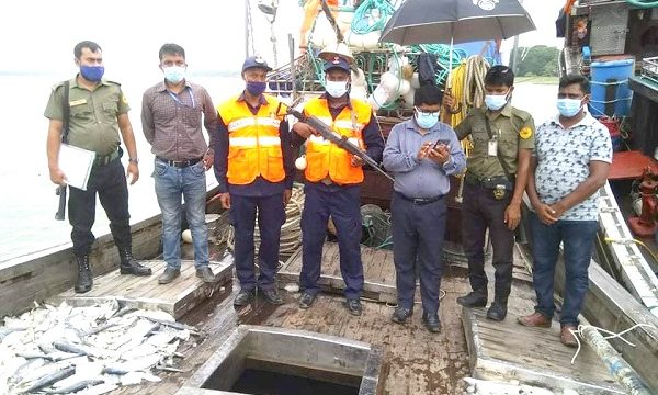 মোরেলগঞ্জে পানগুছি নদীতে অভিযানে দুটি ট্রলার আটক ৯০ হাজার টাকা জরিমানা