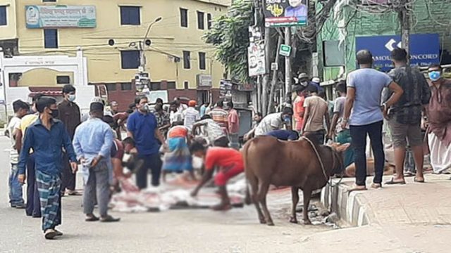 ঈদের নামাজ শেষে কোরবানির পশু জবাইয়ে ব্যস্ত নগরবাসী