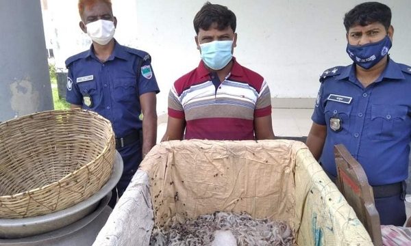 সুন্দরবনে বিষ দিয়ে ধরা চিংড়ি মাছসহ জেলে নুরি শেখ আটক, আদালতে জরিমানা