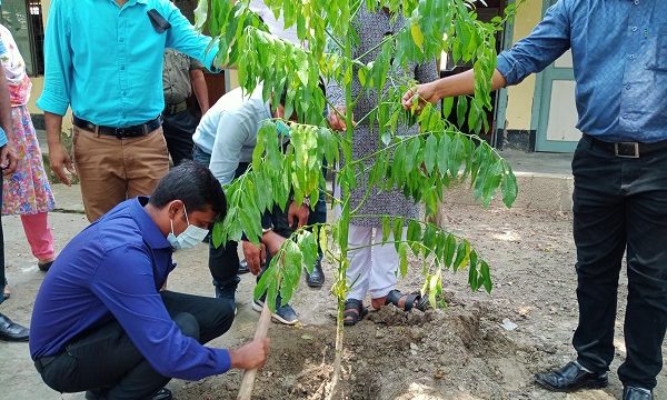 মোল্লাহাটে ব্র্যাকের উদ্যোগে বৃক্ষ রোপণ