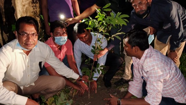 মোল্লাহাটে রূপালী ব্যাংকের উদ্যোগে বৃক্ষরোপণ